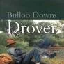 Bulloo Downs Drover