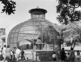 Perth Zoo over 125 years