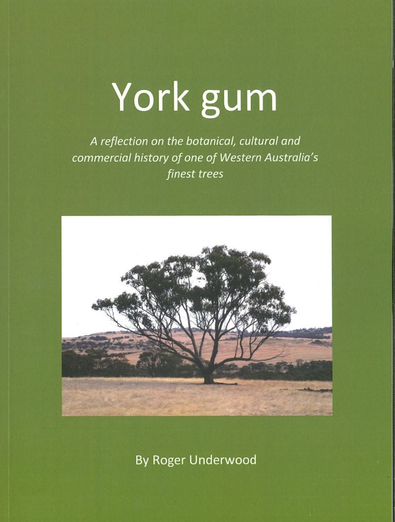 The York Gum Chronicles