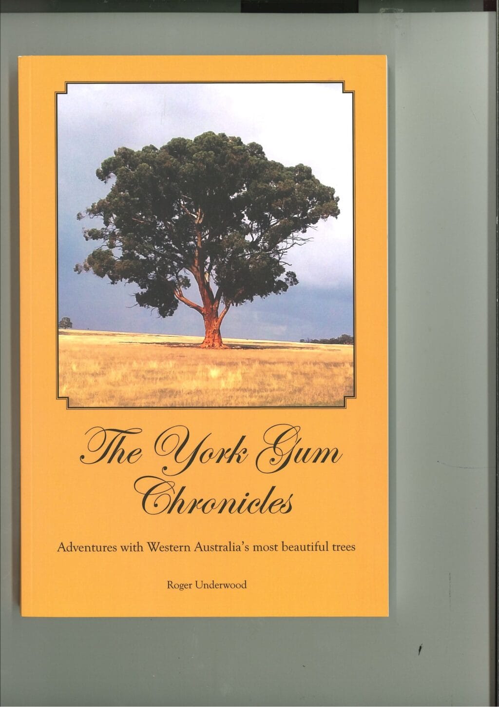 The York Gum Chronicles  - Adventures with Western Australia's most beautiful trees.