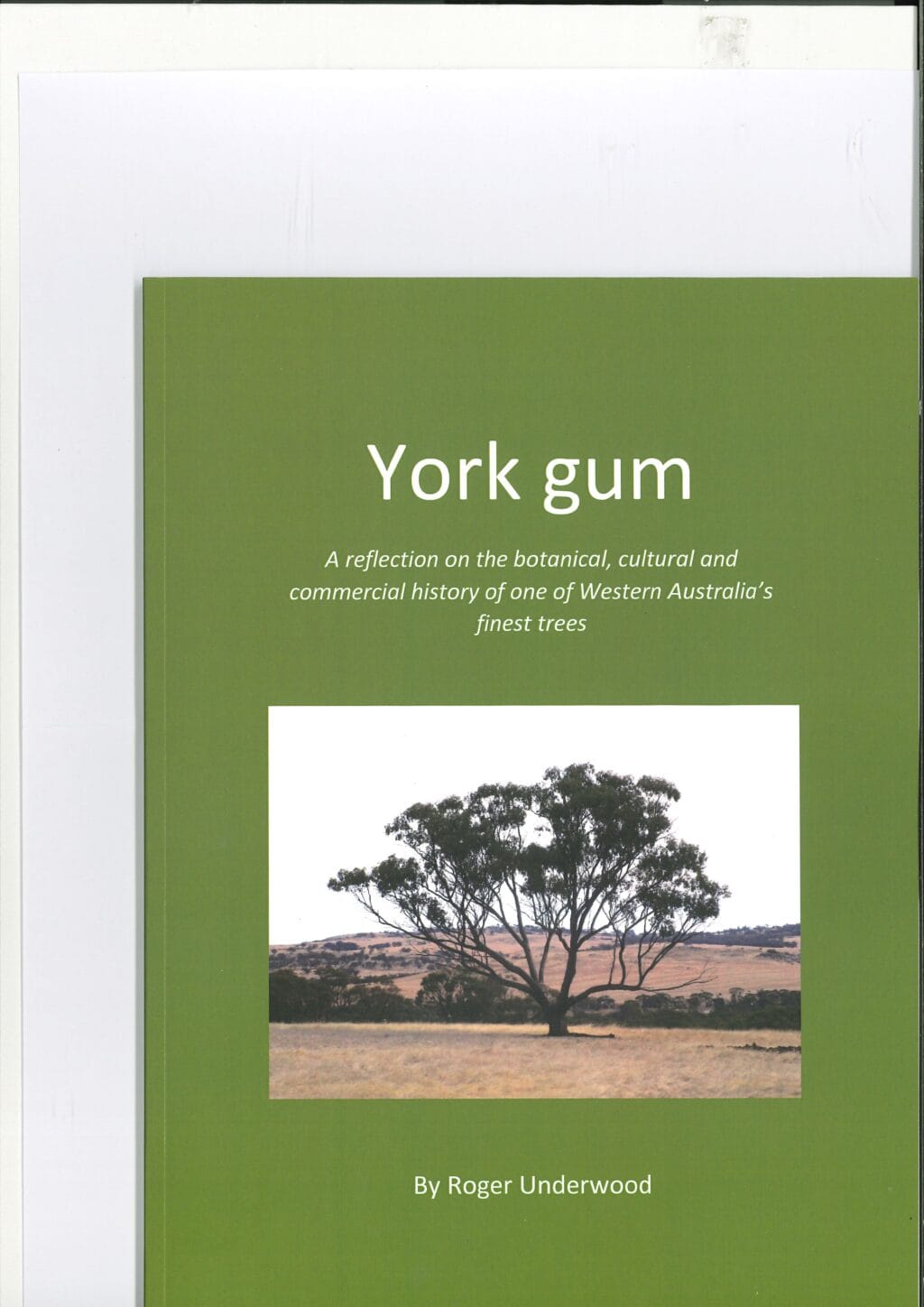 York gum.  A reflection on the botanical, cultural and commercial history of one of Western Australia's finest trees