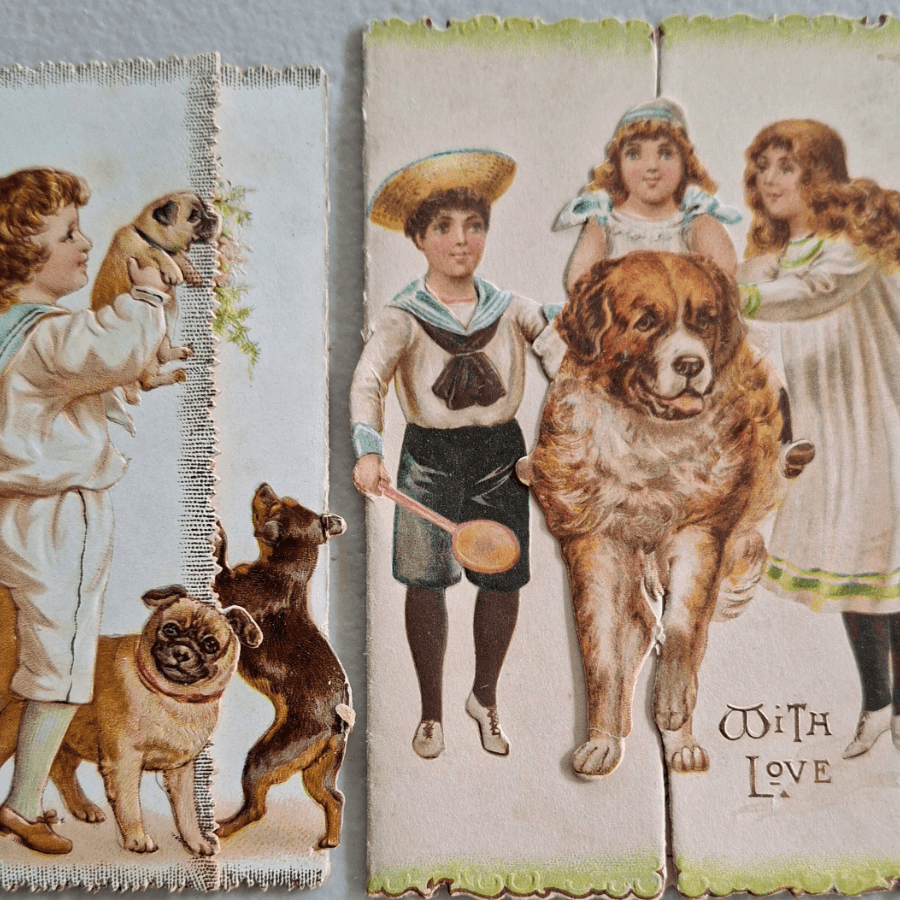 Collectors & Their Collections